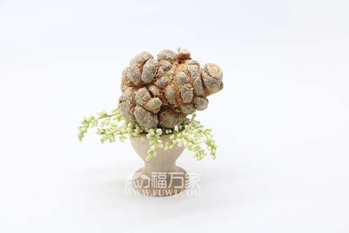多少頭的三七最好？值得買嗎？