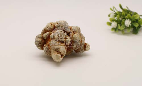 三七的效用為什么對(duì)風(fēng)濕痛有用？
