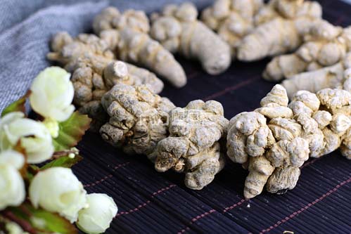 三七粉補血和活血