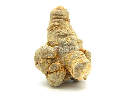 三七有頭的好嗎