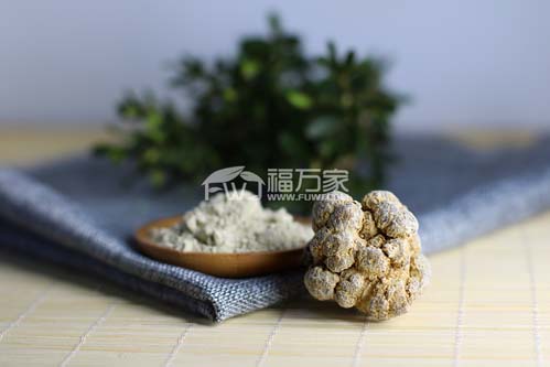三七與三七粉