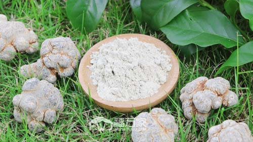 天天吃三七粉