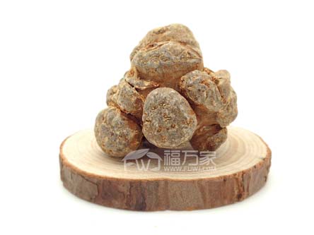 三七的果子什么樣